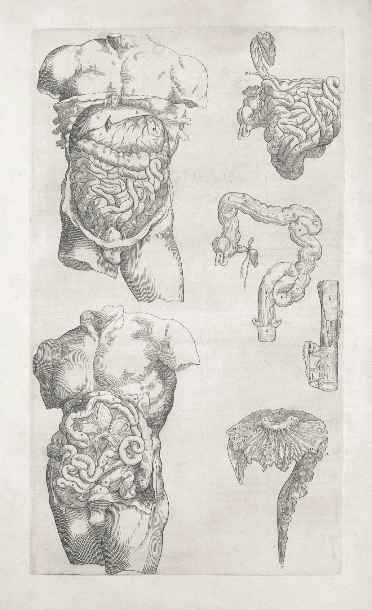 What is Agni in Ayurveda? A practical guide to your digestive fire