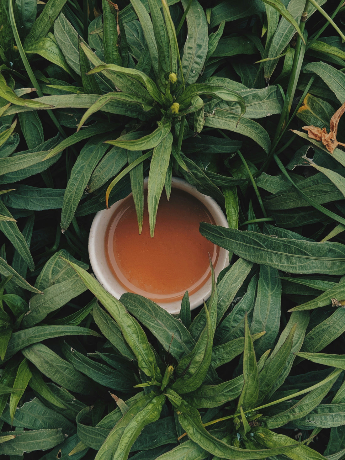 What to Eat and Drink in the Follicular Phase