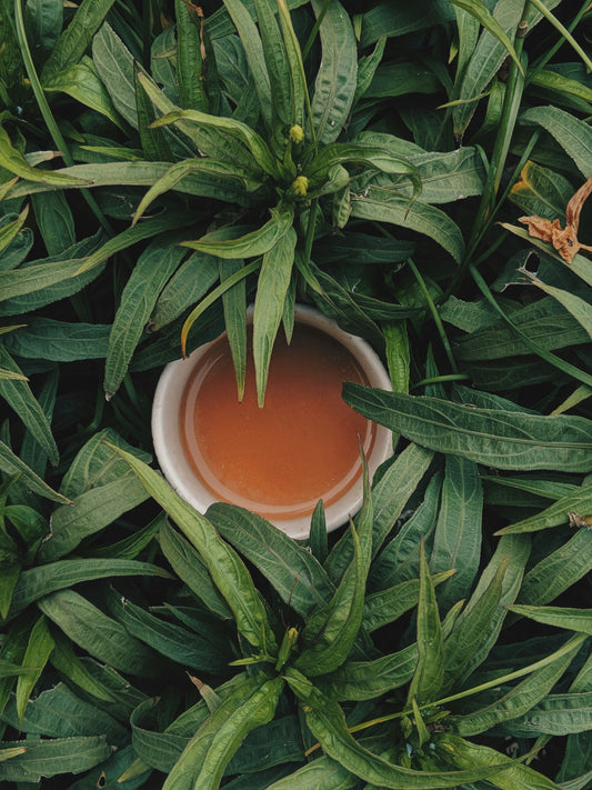 What to Eat and Drink in the Follicular Phase