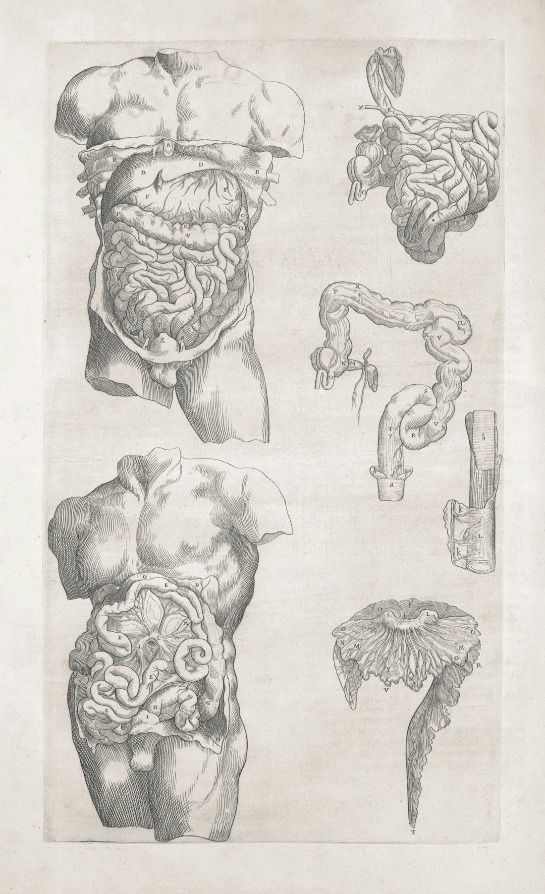 What is Agni in Ayurveda? A practical guide to your digestive fire